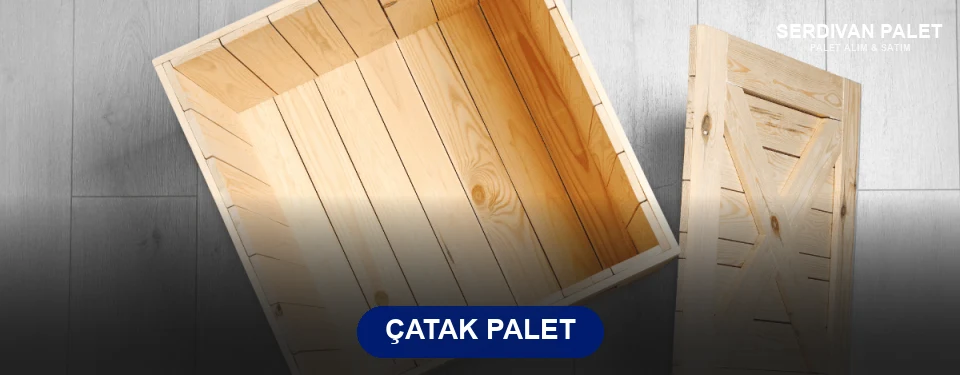 Çatak Paletçi Çatak Paletçi