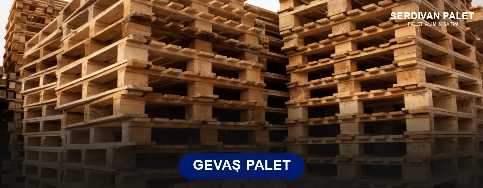 Gevaş Paletçi Gevaş Paletçi