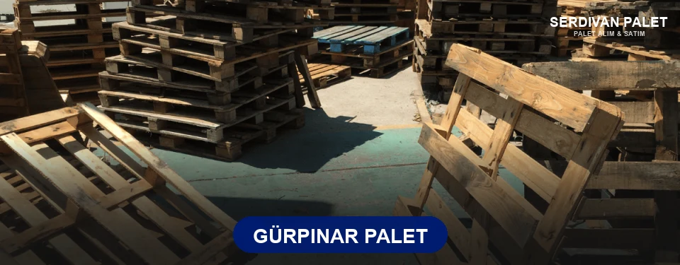 Gürpınar Paletçi Gürpınar Paletçi