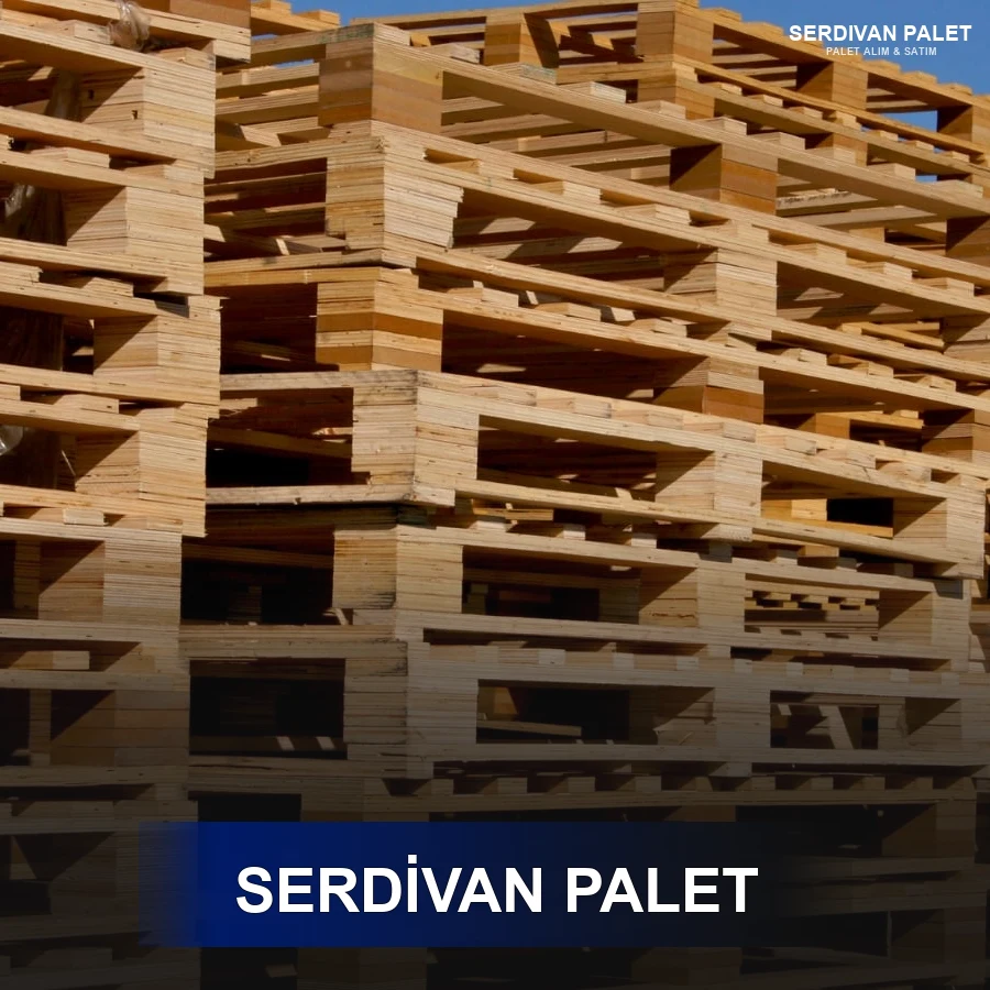 Başakşehir Paletçi