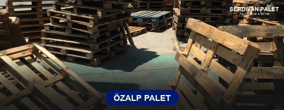 Özalp Paletçi