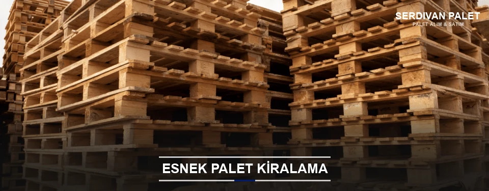 Serdivan Uygun Fiyatlı Palet Kiralama